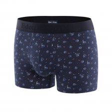 Boxer   motif