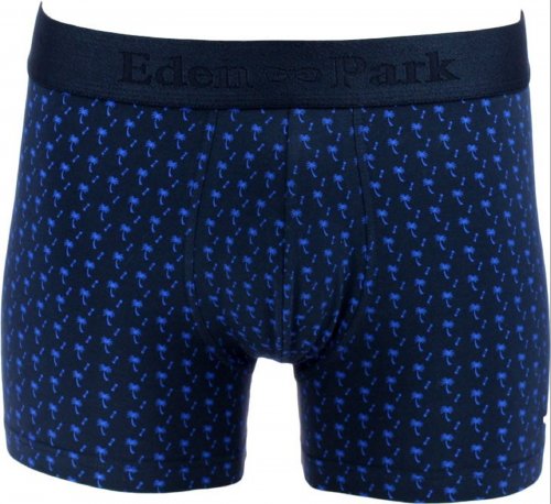 Boxer long bleu E201F38